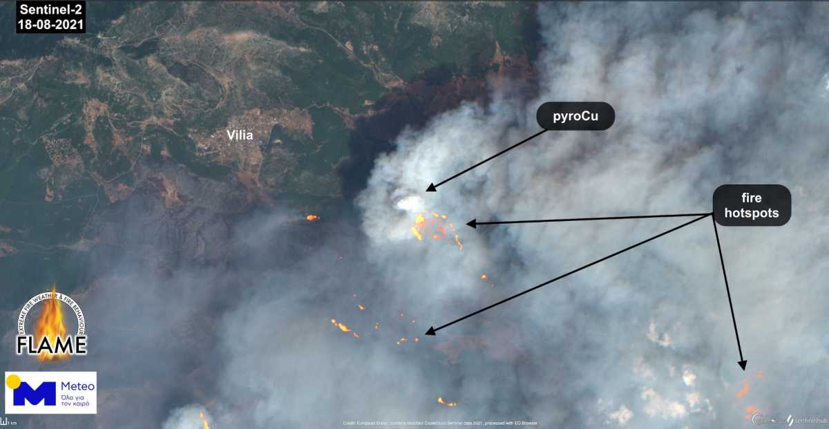 Φωτιά στα Βίλια: Έτσι εξηγείται η «έκρηξη» δασικής πυρκαγιάς
