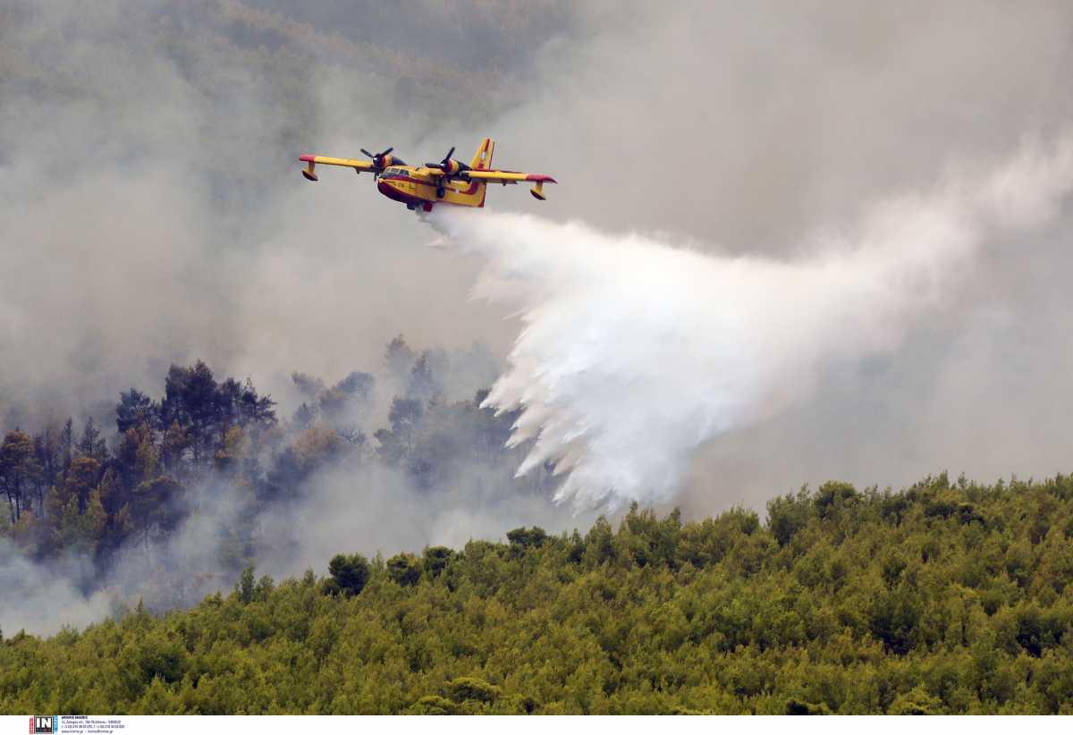 Φωτιά στην Κορινθία: Φλέγεται δάσος με πεύκα – Η Πυροσβεστική στέλνει ενισχύσεις στο μέτωπο