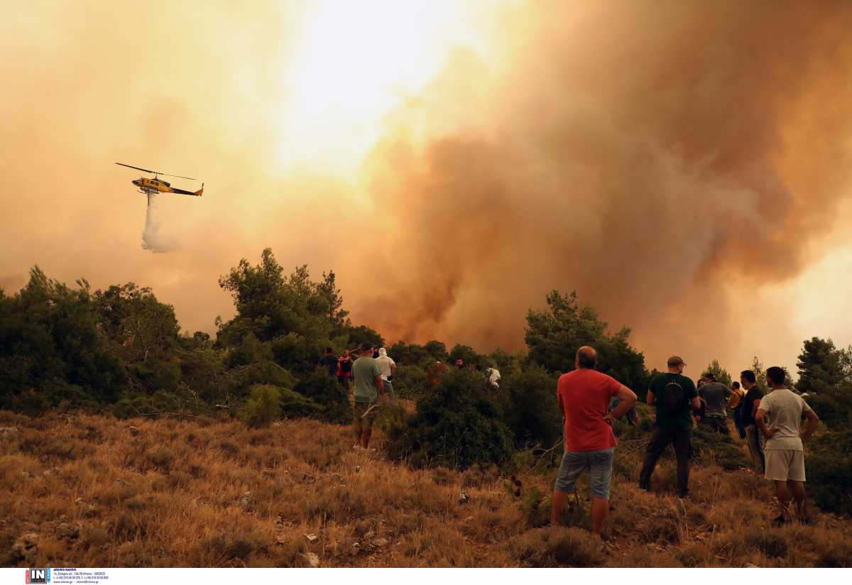Φωτιά στα Βίλια: Κάηκαν κτίσματα εκτός οικισμού – Λεωφορεία σε ετοιμότητα για εκκένωση