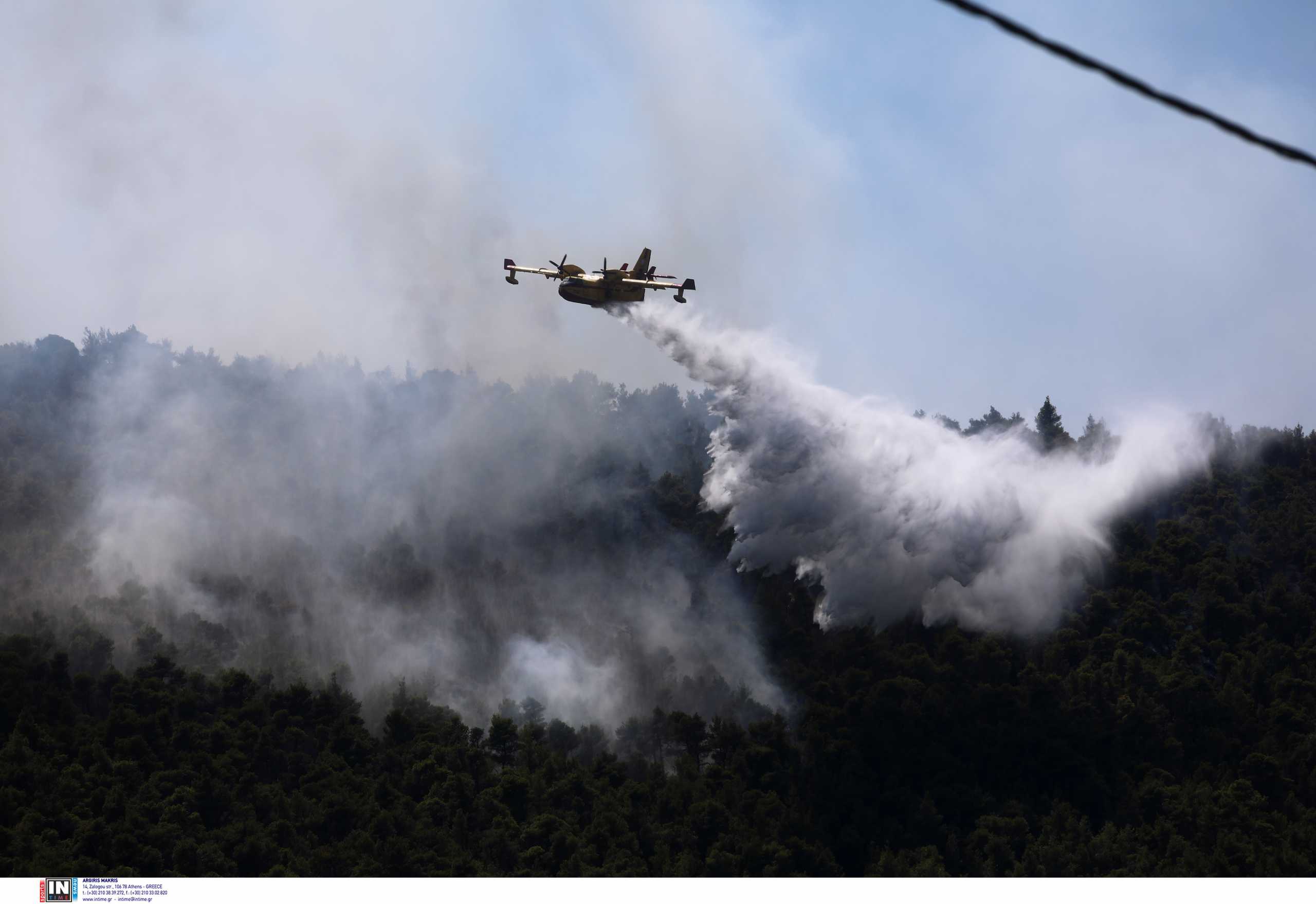 Φωτιά στη Μαγνησία: Επίγειες και εναέριες δυνάμεις πολεμούν εστίες στις Μικροθήβες