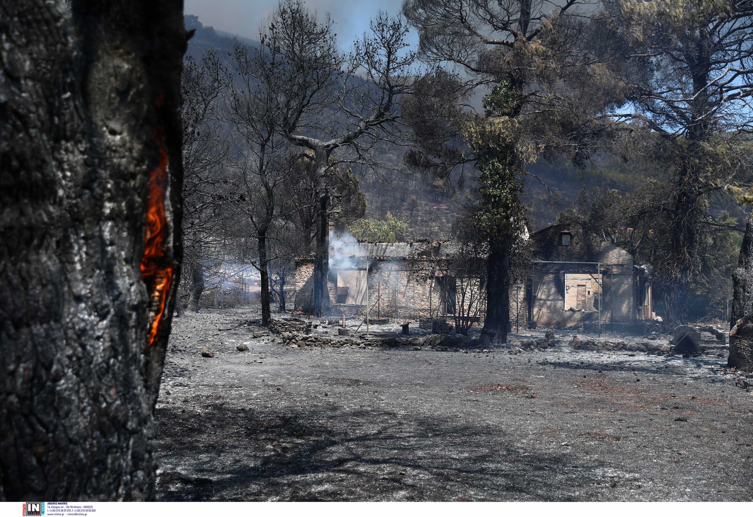 Φωτιά στα Βίλια: Ενεργό μέτωπο μέσα στο δάσος – Στάχτη πάνω από 80.000 στρέμματα