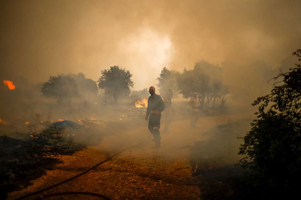 Φωτιά στη Βοιωτία σε γεωργική έκταση στον Άγιο Γεώργιο