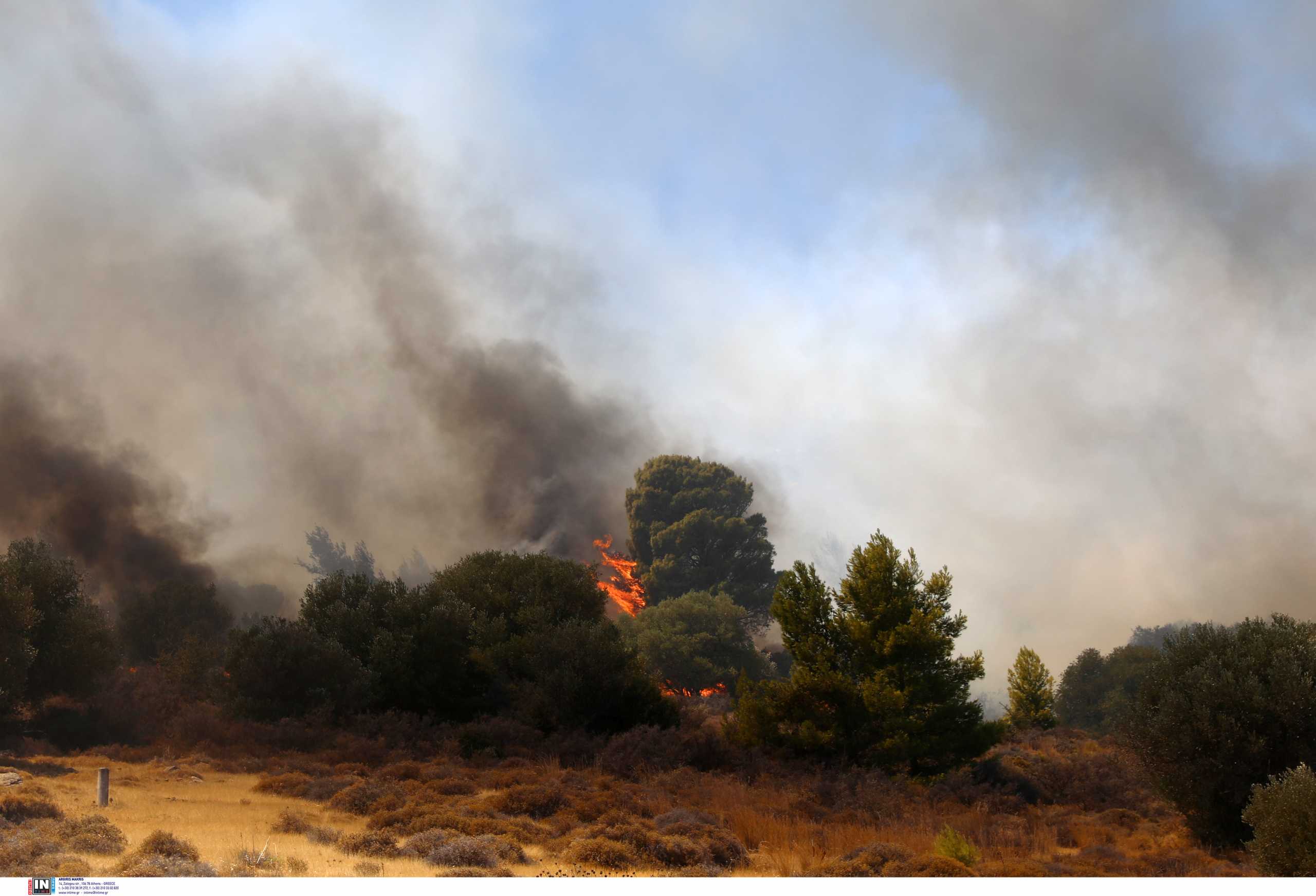 Φωτιά στα Βίλλια: Νέο μήνυμα από το 112 – «Εκκενώστε προς Μάνδρα»