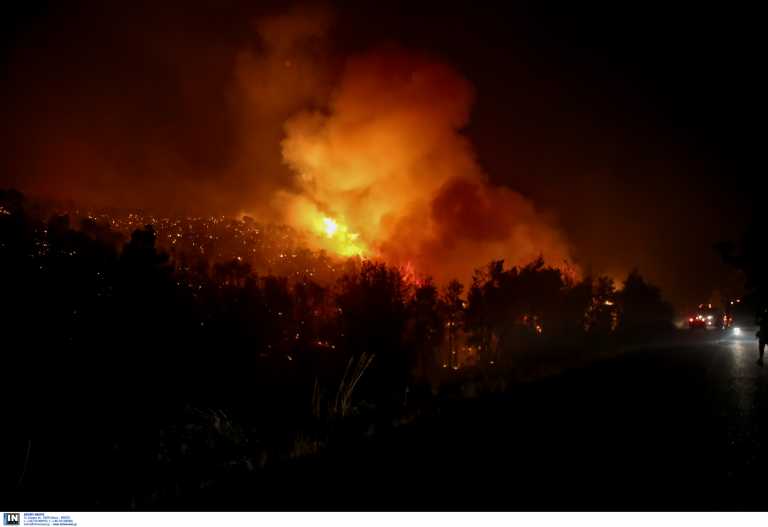Φωτιά στην Ανατολική Μάνη: «Η νύχτα θα είναι πολύ δύσκολη»