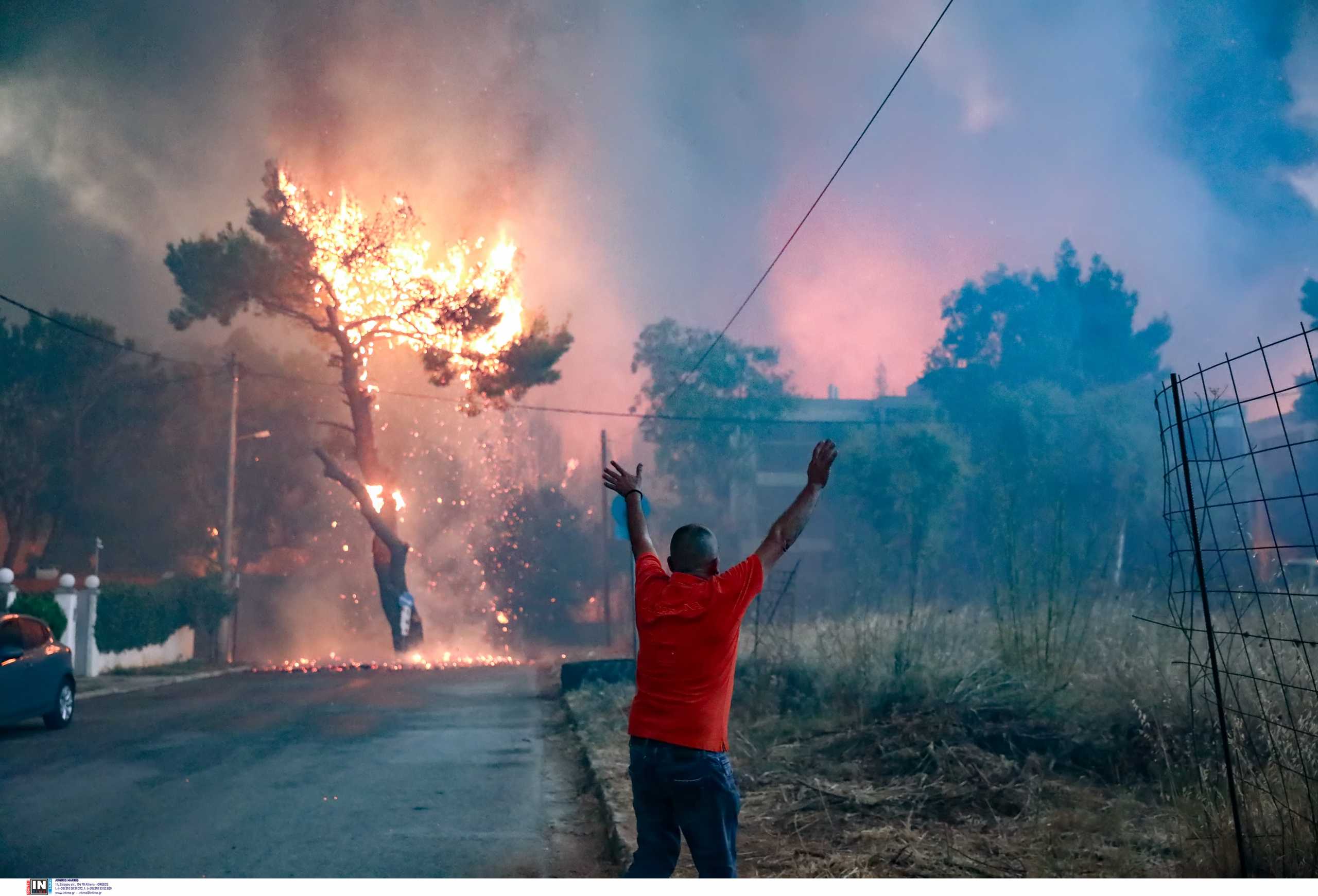 Η φωτιά στην Αττική είναι απόρροια του ακραίου καύσωνα λέει καθηγητής του ΑΠΘ