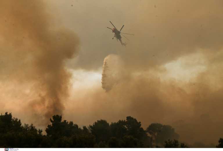Ο Όμιλος Ιατρικού Αθηνών δίπλα στους πληγέντες από τις πυρκαγιές και στο Πυροσβεστικό σώμα
