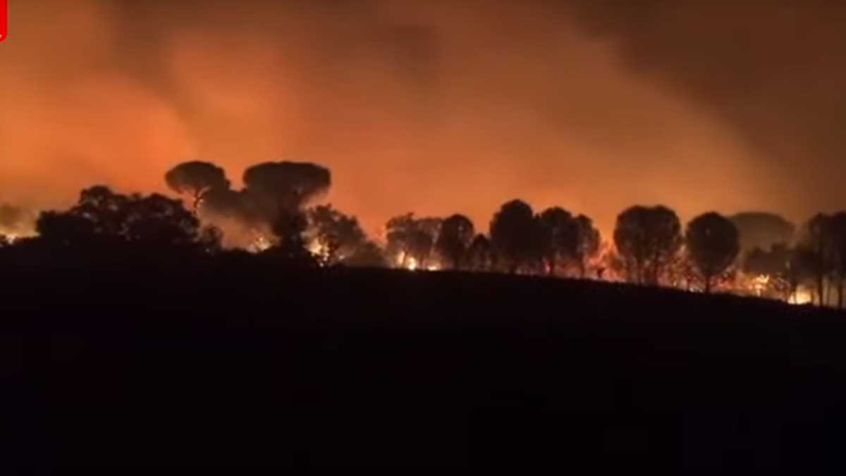 Γαλλία: Καίει για πέμπτη ημέρα η πυρκαγιά στην Κυανή Ακτή – Καλύτερη η σημερινή εικόνα