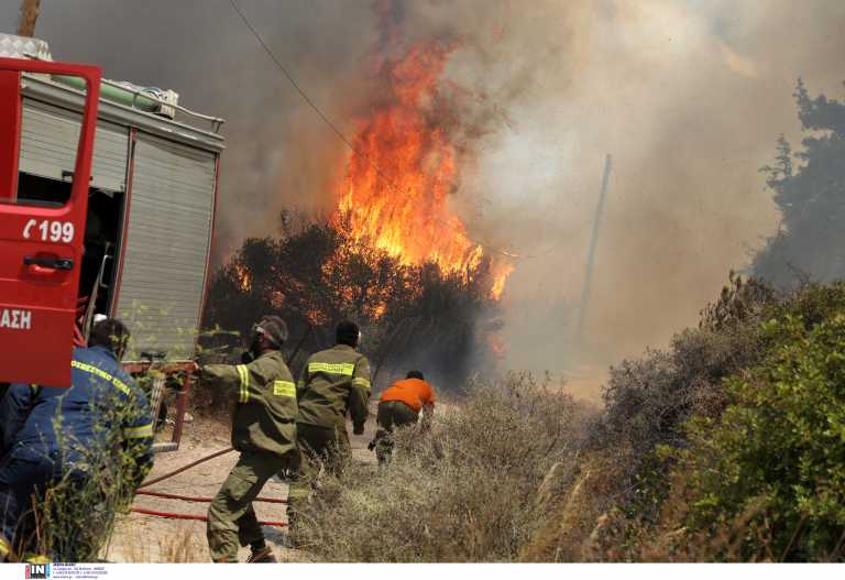 Υπό μερικό έλεγχο η φωτιά στο Κορωπί - Έκαψε 3,5 στρέμματα με ελιές και άλλα δέντρα