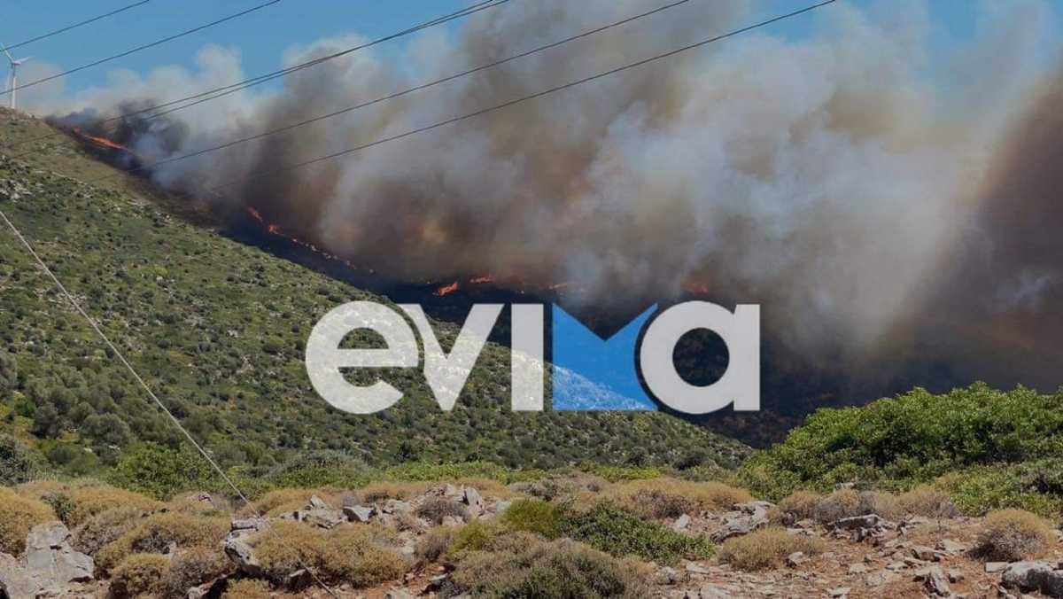 Φωτιά στην Εύβοια: Με πόσα χιλιόμετρα «ταξίδεψε» ο καπνός στην Αττική