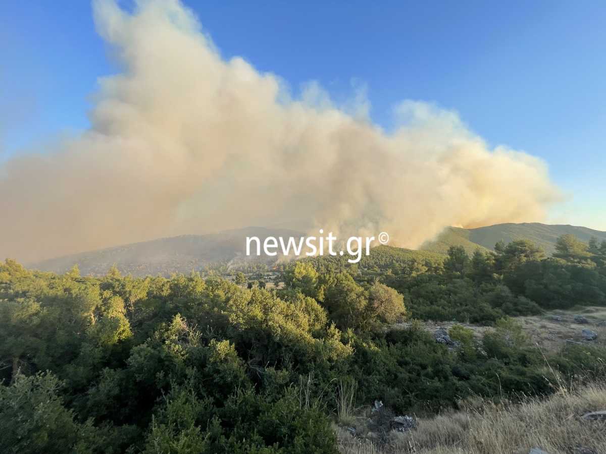 Φωτιά στα Βίλια: Για εμπρησμό μιλά ο δήμαρχος Μάνδρας