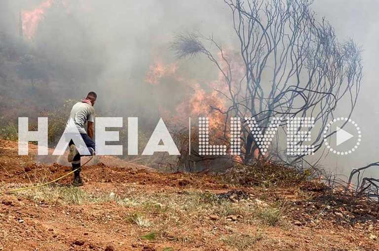 Φωτιά στην Ηλεία: Μεγάλη μάχη στη Νεμούτα – Πληροφορίες για εγκλωβισμένους στα Χάνια
