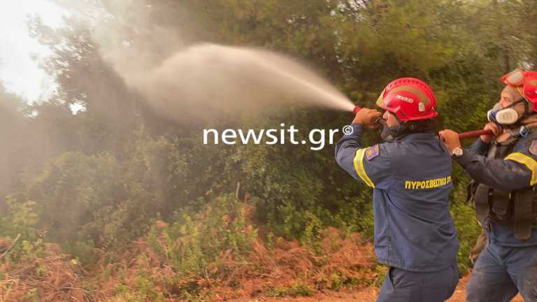 Φωτιά στην Εύβοια: Νέα αναζωπύρωση μεταξύ Γαλατσώνας και Αβγαριάς - Αγωνιούν οι κάτοικοι - Δεκάδες χωριά χωρίς ρεύμα