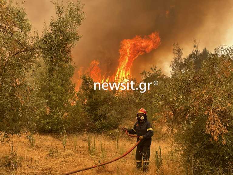 Φωτιά στην Εύβοια: Αναζωπυρώσεις στα χωριά Γερακιού, Γαλατσώνα και Αβγαριά - Αποστολή του newsit.gr