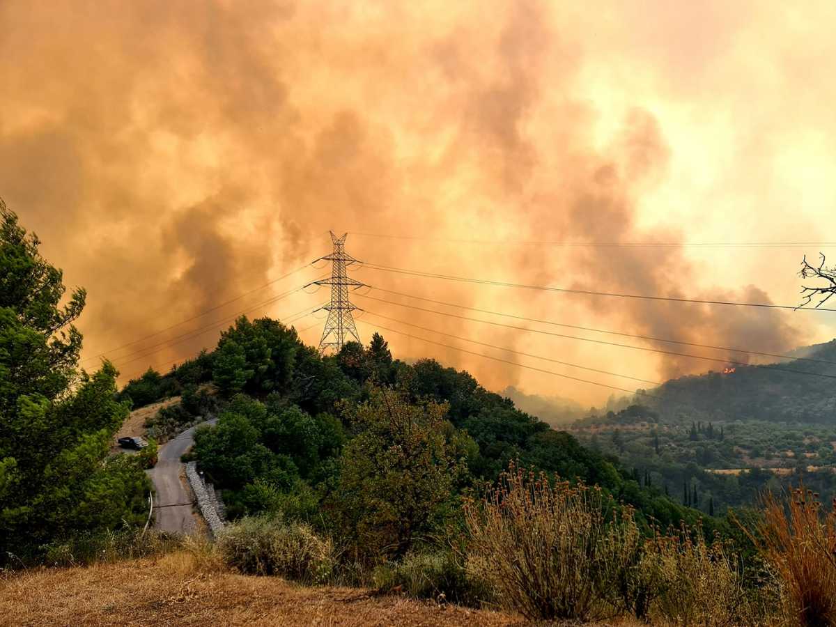 Φωτιά στην Αρκαδία: Αναζωπύρωση στο δάσος της Κάπελης – Στην μάχη και το Beriev