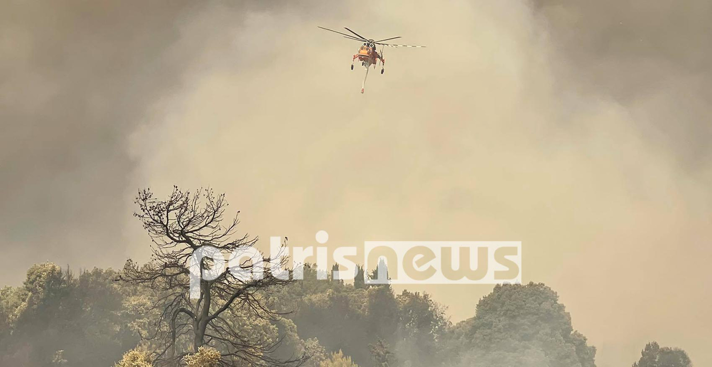 Φωτιά στην Ηλεία: Καίγεται η Νεμούτα! Εκκένωση της Αχλαδινής – Αναζωπυρώσεις σε Λατζόι και Δερβένι