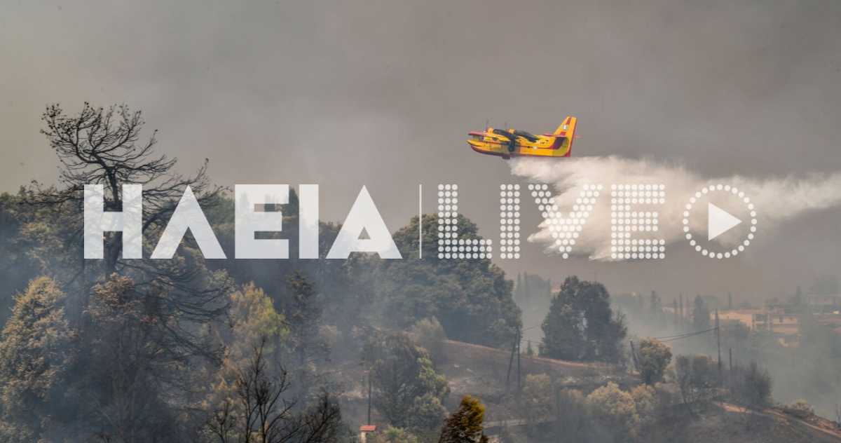 Φωτιά στην Ηλεία: Αναζωπυρώσεις στο πύρινο μέτωπο – Παραμένει η αγωνία για την Νεμούτα, δύσκολη κατάσταση στο Βασιλάκι