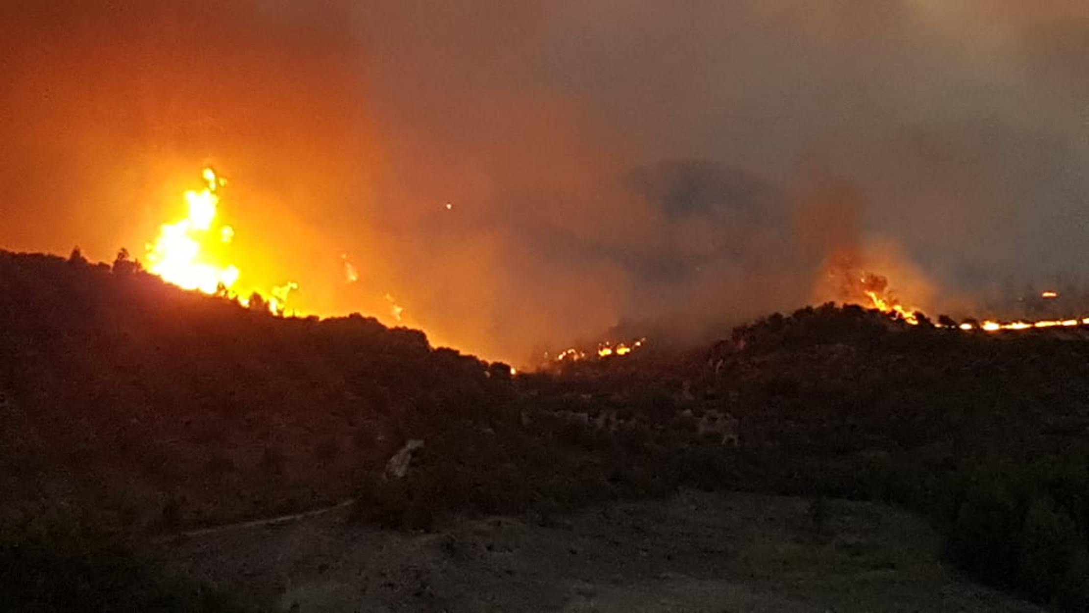 Φωτιά στην Αρχαία Ολυμπία: Σώθηκε το μουσείο – Προς Λατζόι, Λάλα και Μιράκα η πυρκαγιά