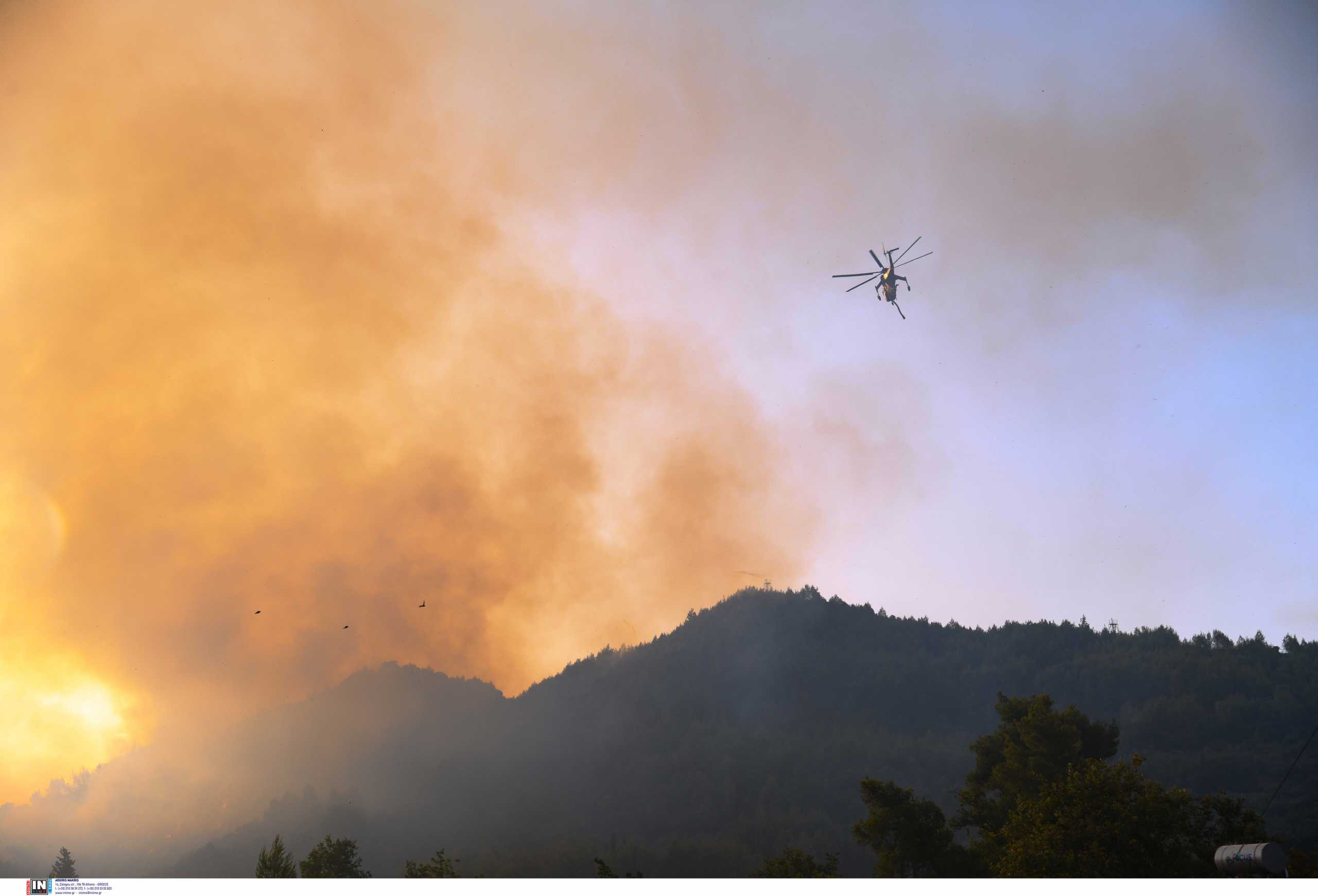 Φωτιά στην Ηλεία: Επί ποδός η πυροσβεστική