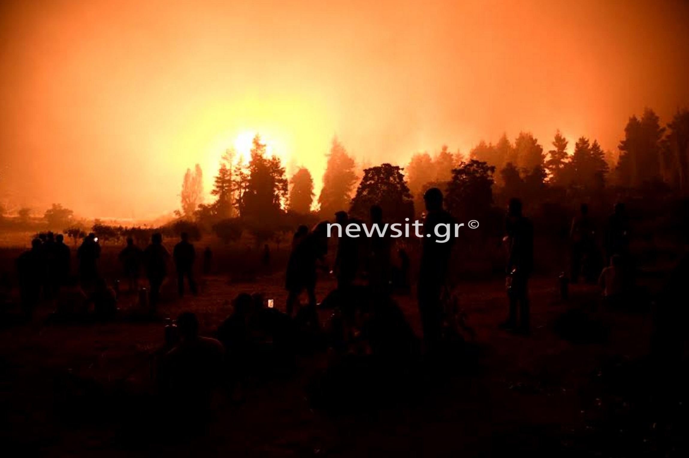 Φωτιά στην Εύβοια