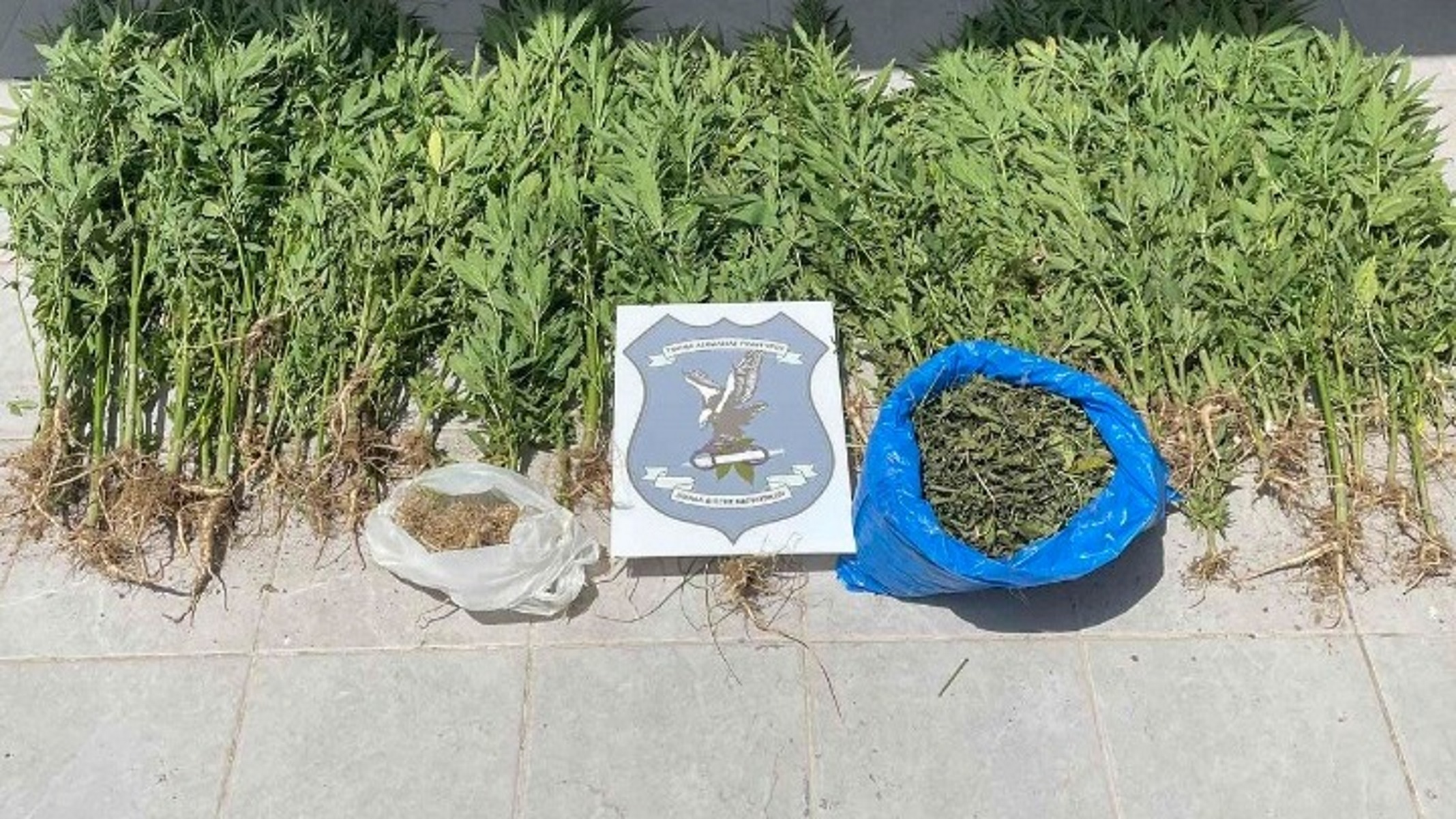 Καστοριά: Πιάστηκαν με 65 κιλά κάνναβη – Πώς έπεσαν στα δίχτυα της αστυνομίας