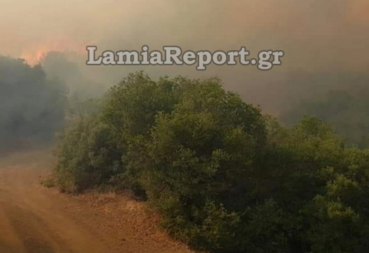 Δύσκολη νύχτα και μάχη με τις φλόγες στο Λογγίτσι Φθιώτιδας