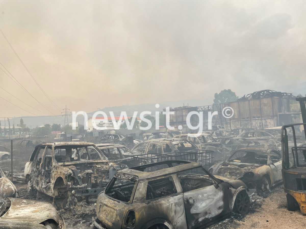 Φωτιά στην Αττική: Κάηκαν πάνω από 100 αυτοκίνητα στην μάντρα στις Αφίδνες