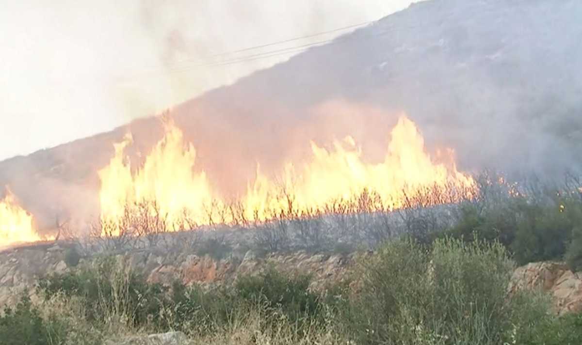 Μεγάλη φωτιά και στο Μαρτίνο Φθιώτιδας