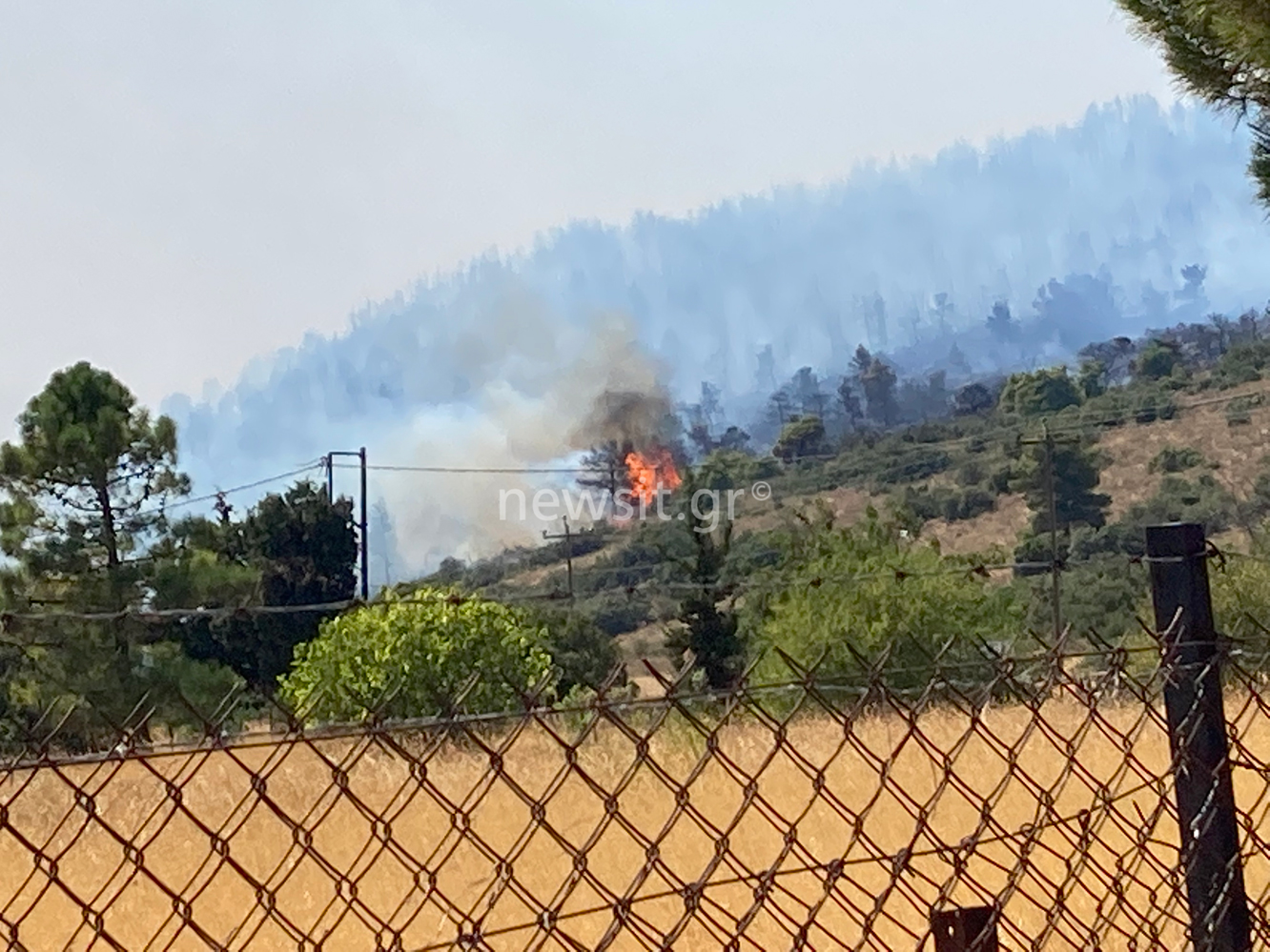 Νέα φωτιά στα Βίλια, στην περιοχή Κάζα: Επί τόπου ισχυρές δυνάμεις