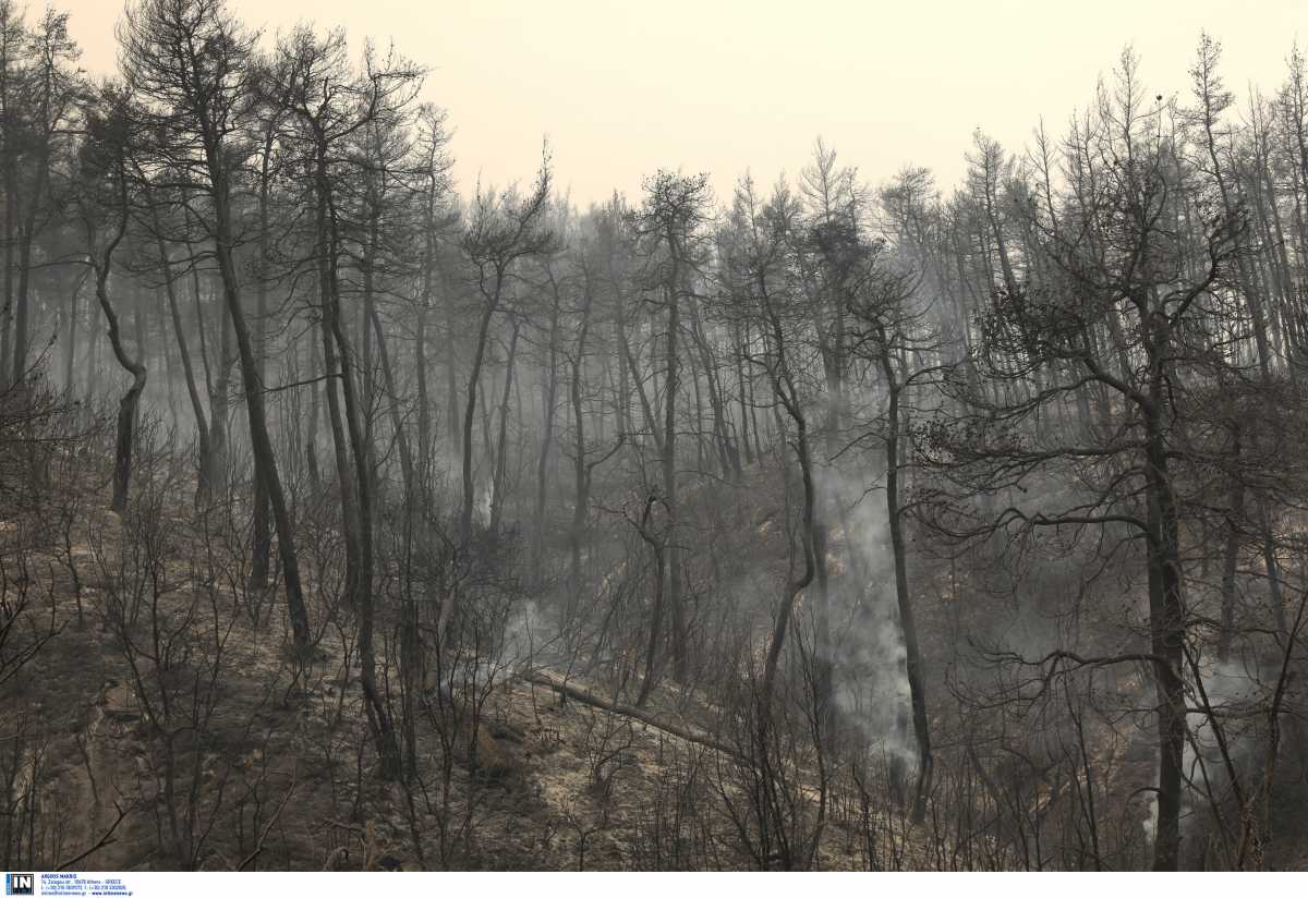 Πυρκαγιές: Η Τουρκία στέλνει δύο πυροσβεστικά αεροσκάφη στην Ελλάδα!