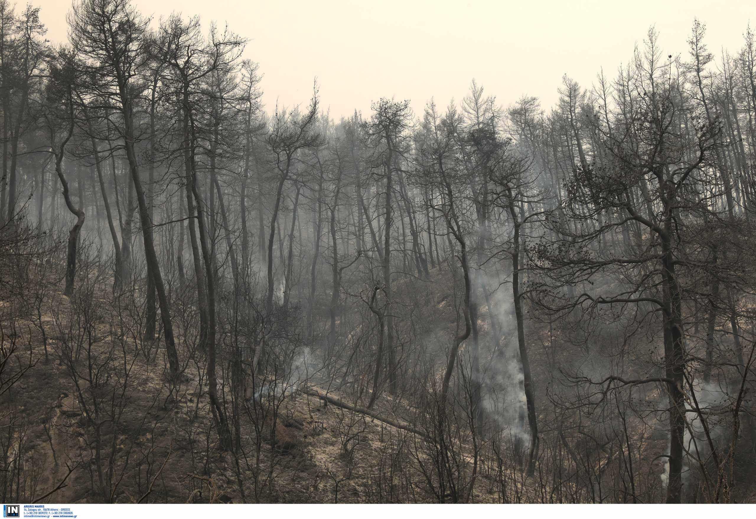 Πυρκαγιές: Η Τουρκία στέλνει δύο πυροσβεστικά αεροσκάφη στην Ελλάδα!
