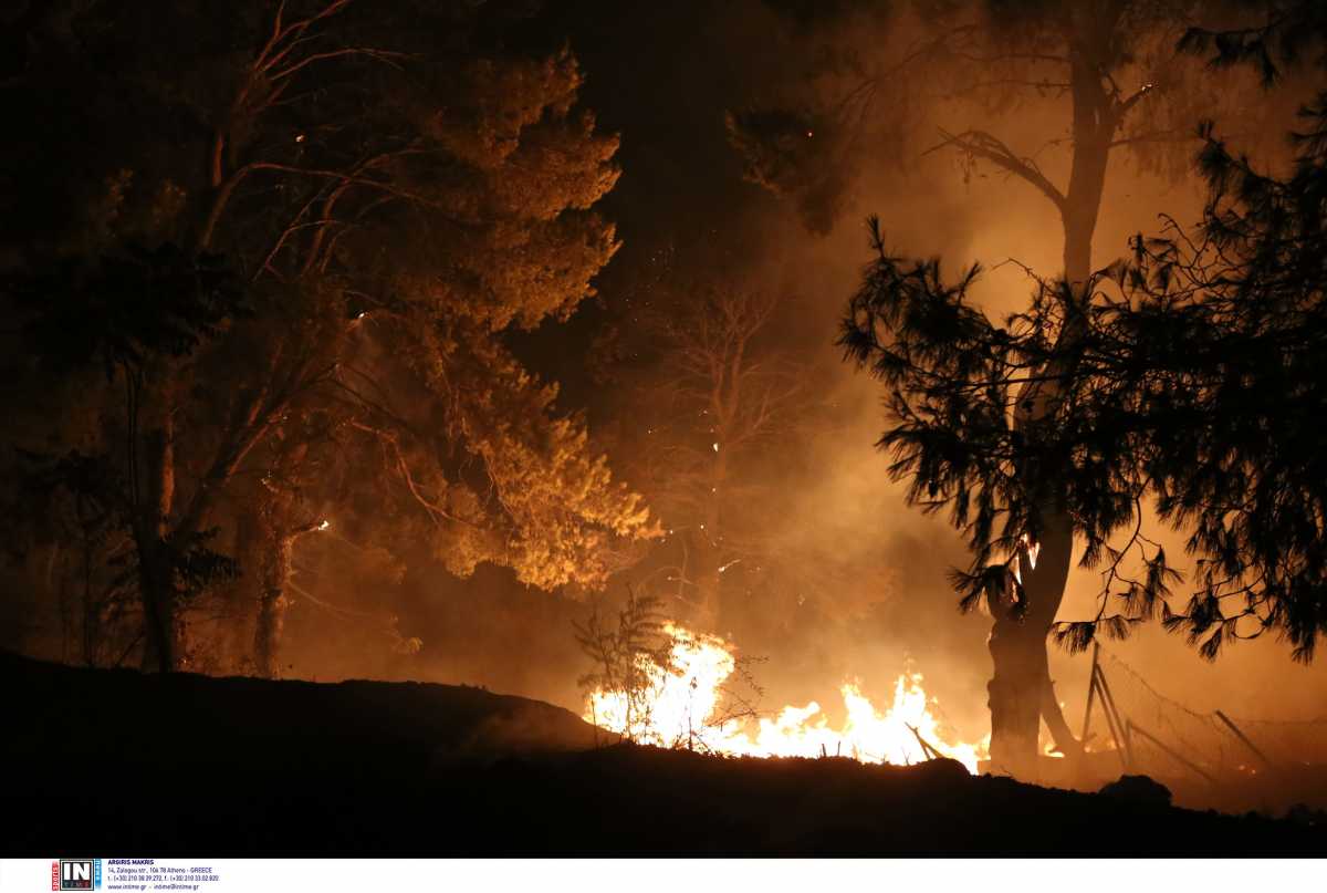 Πυρκαγιά από την Αλβανία πέρασε τα σύνορα στη Θεσπρωτία