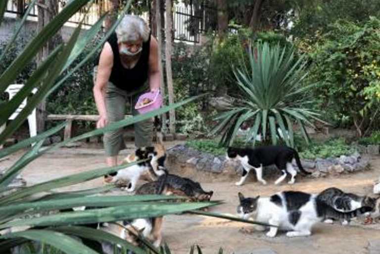 Καλαμαριά: Το πάρκο του μπαρμπα-Γιάννη δίνει ζωή στη γειτονιά χωρίς αυτόν - Η τελευταία επιθυμία και η υπόσχεση