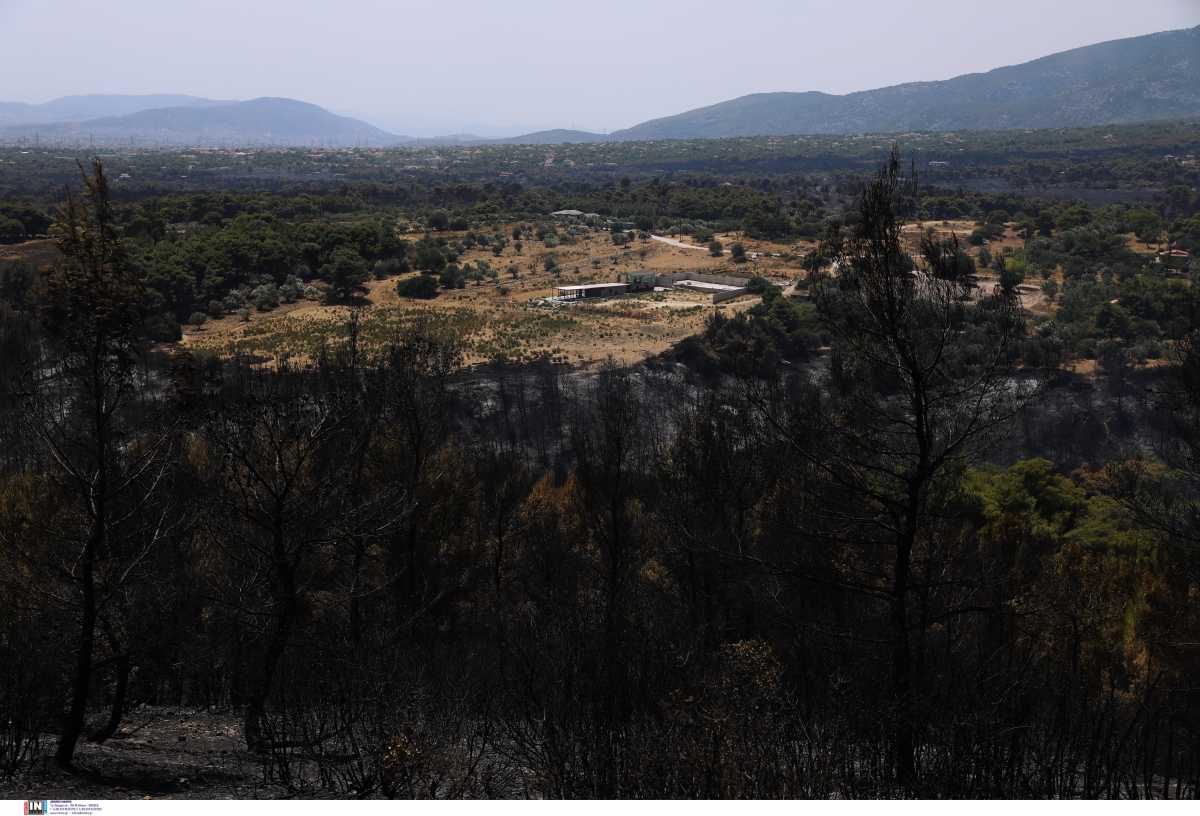 Φωτιά στην Αττική: Ενισχυμένο το μέτωπο στην Πάρνηθα – Στη μάχη Κύπριοι, Γάλλοι και Ισραηλινοί πυροσβέστες