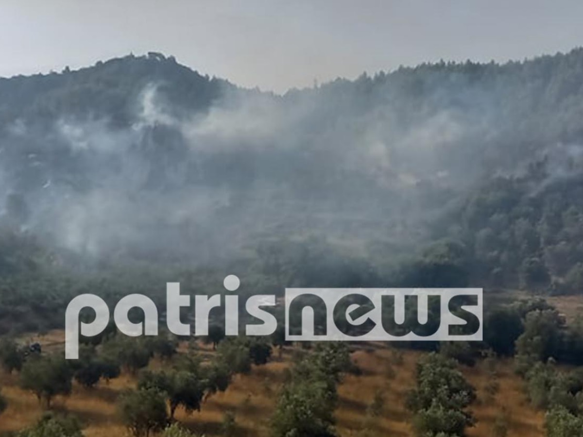 Φωτιά στην Αρχαία Ολυμπία: «Είναι ανεξέλεγκτη» λέει ο Δήμαρχος Πύργου – Δεν επιχειρούν τα αεροπλάνα