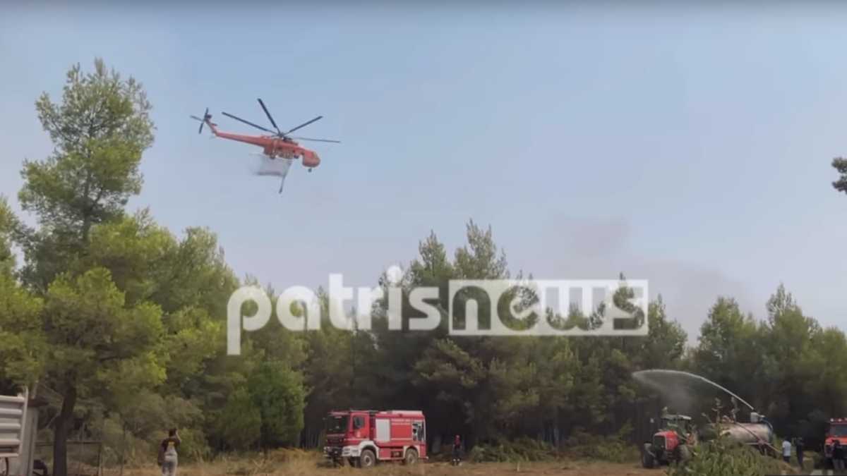 Φωτιά στην Ηλεία: Νέα αναζωπύρωση στη Νεμούτα