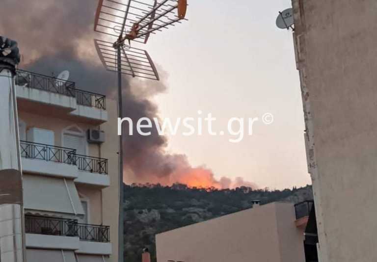 Πετρούπολη: Δίωξη για κακουργήματα στον 47χρονο που συνελήφθη για εμπρησμούς