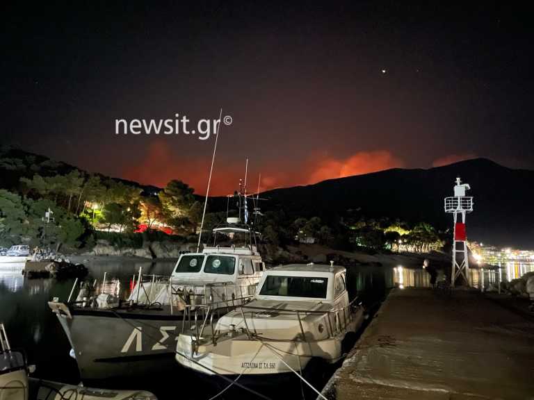 Φωτιά στα Βίλια: Νύχτα αγωνίας στις φλόγες - Έτοιμοι για εκκένωση από τη θάλασσα αν η φωτιά φτάσει στο Πόρτο Γερμενό