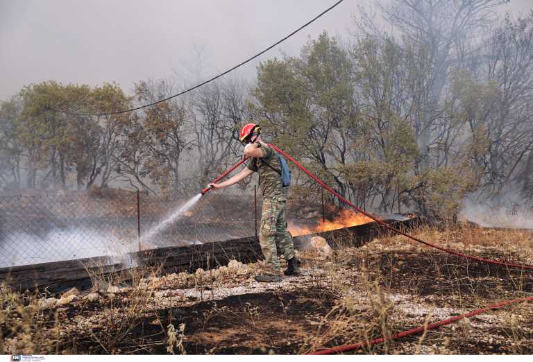 Μεταφέρουν πολύτιμα αντικείμενα από τα πρώην βασιλικά κτήματα του Τατοΐου λόγω της φωτιάς