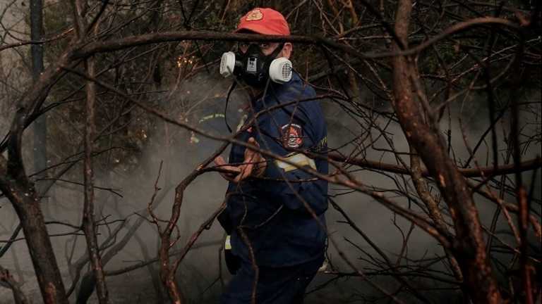 Φωτιές: Δωρεές ύψους 1 εκατ. ευρώ σε πυρόπληκτους και πυροσβεστική από τον εφοπλιστή Πάνο Λασκαρίδη