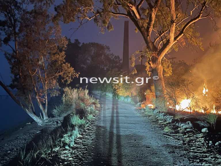 Εικόνες «Αποκάλυψης» στις Ροβιές της Εύβοιας - «Στάχτη» τα σπίτια και ρεύμα πουθενά