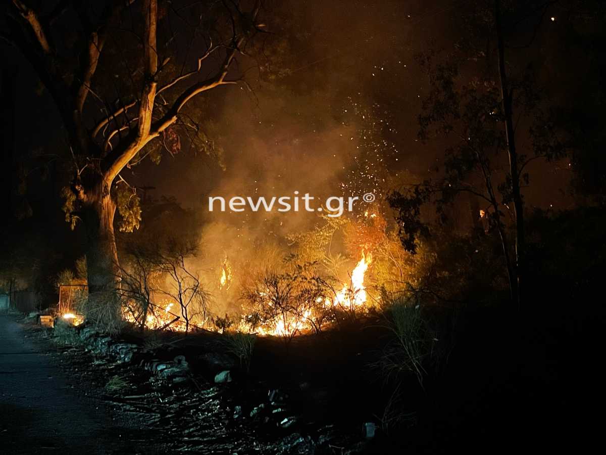 Φωτιά στην Εύβοια: Νέο μέτωπο στην Δάφνη, κοντά στις Ροβιές – Κρίσιμες στιγμές σε άλλες 4 περιοχές