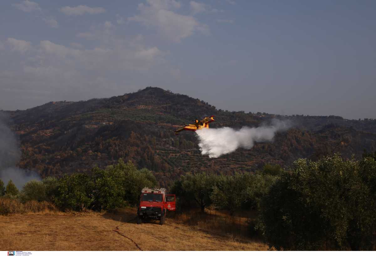 Φωτιά στην περιοχή Δρυάλια Λακωνίας – Πάλευαν από γη και αέρα για την κατάσβεση