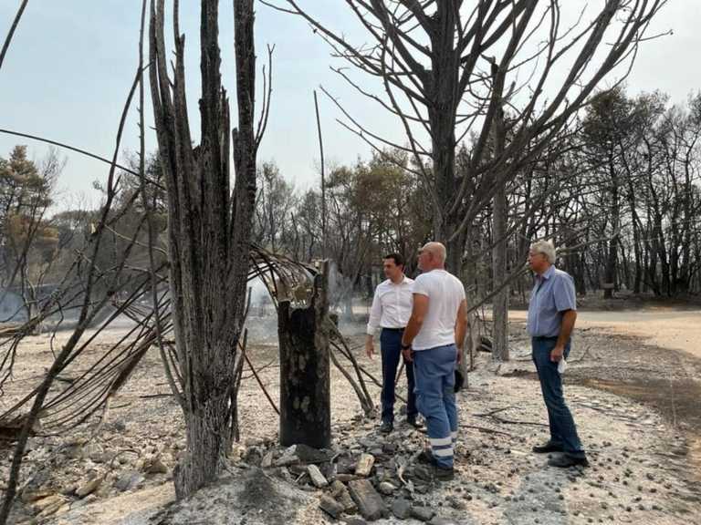 Κινδύνευσε το σπίτι του Κώστα Σκρέκα από τη φωτιά στη Βαρυμπόμπη