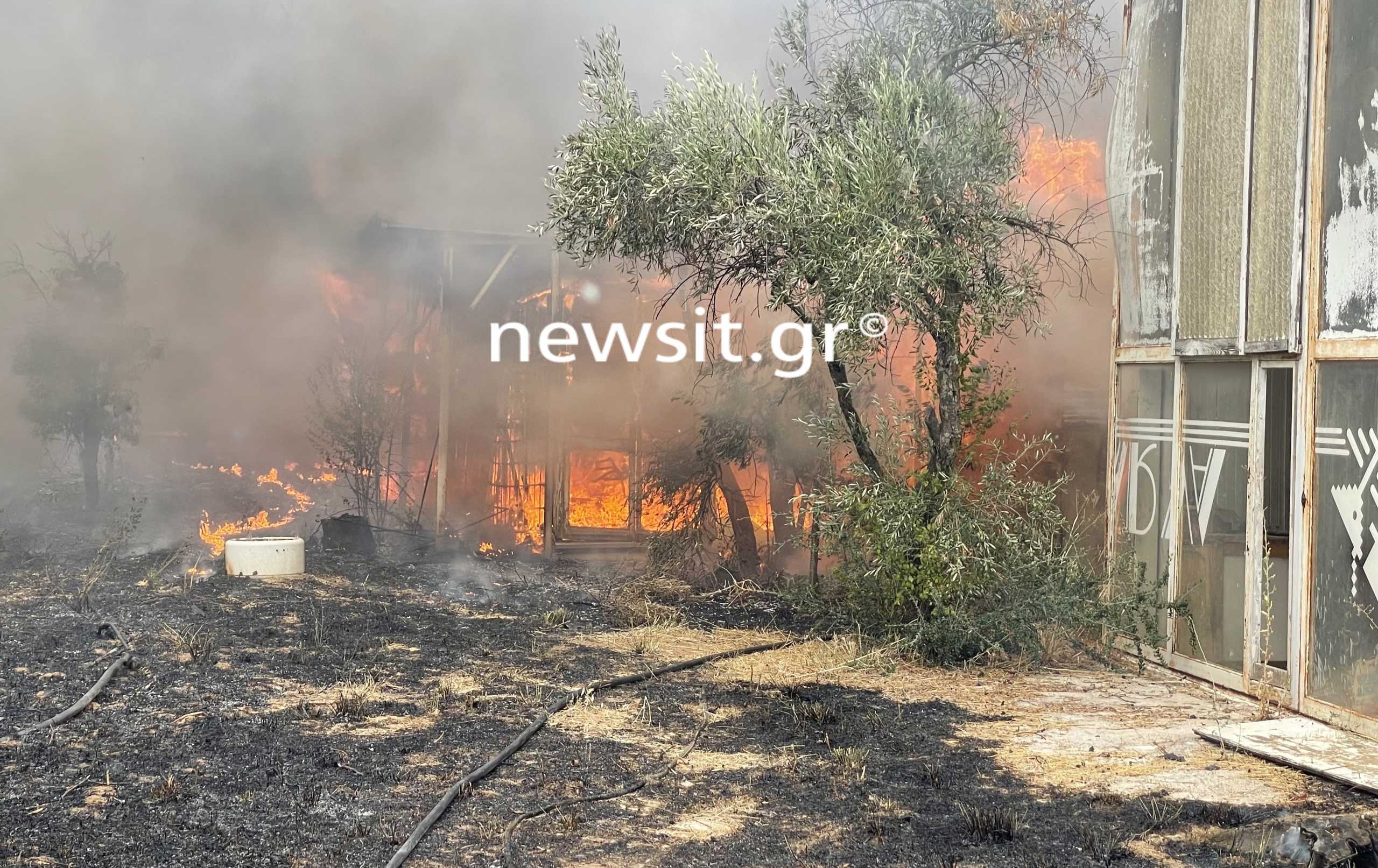 Φωτιά στην Αττική: 9 οι τραυματίες από τη μεγάλη φωτιά – Βίντεο ντοκουμέντο από τις εκρήξεις σε μάντρα αυτοκινήτων