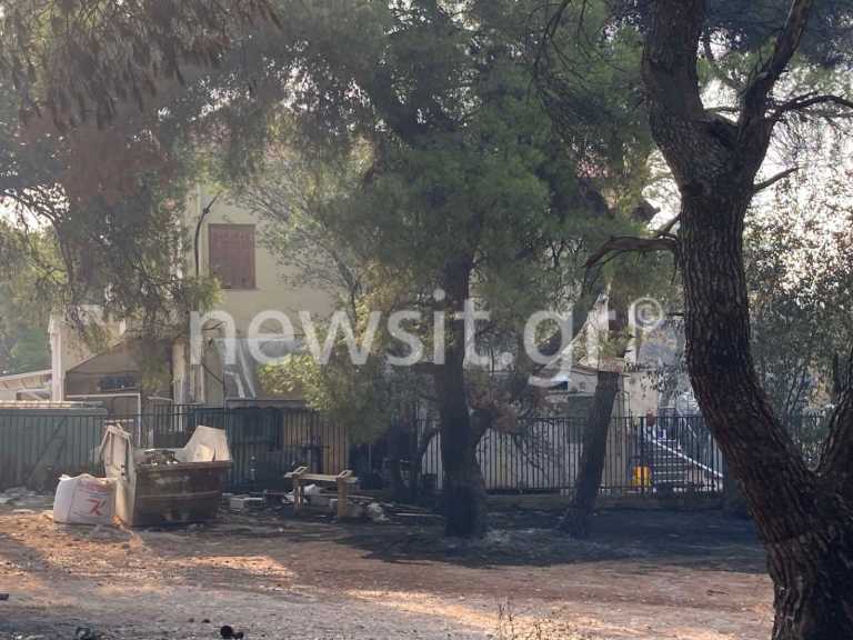 Εισαγγελική έρευνα για τη φωτιά στην Βαρυμπόμπη - Τα ερωτήματα που ζητούν απαντήσεις