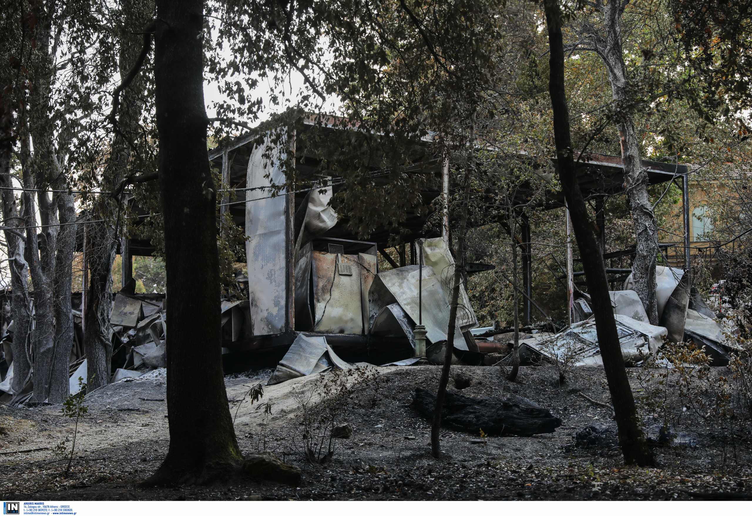 Τατόι: Τεράστια καταστροφή στο κτήμα των Βασιλικών Ανακτόρων