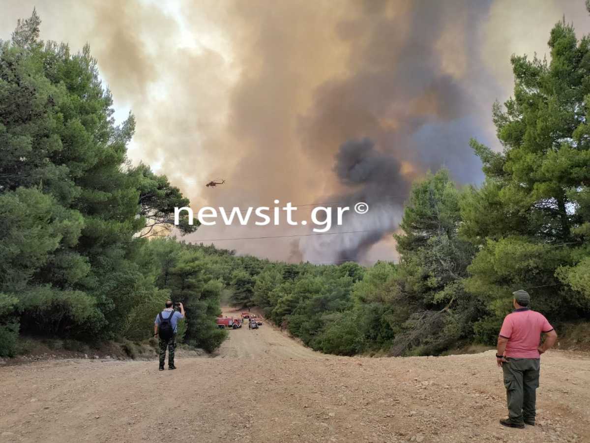 Φωτιά στη Βαρυμπόμπη: Νέα αναζωπύρωση