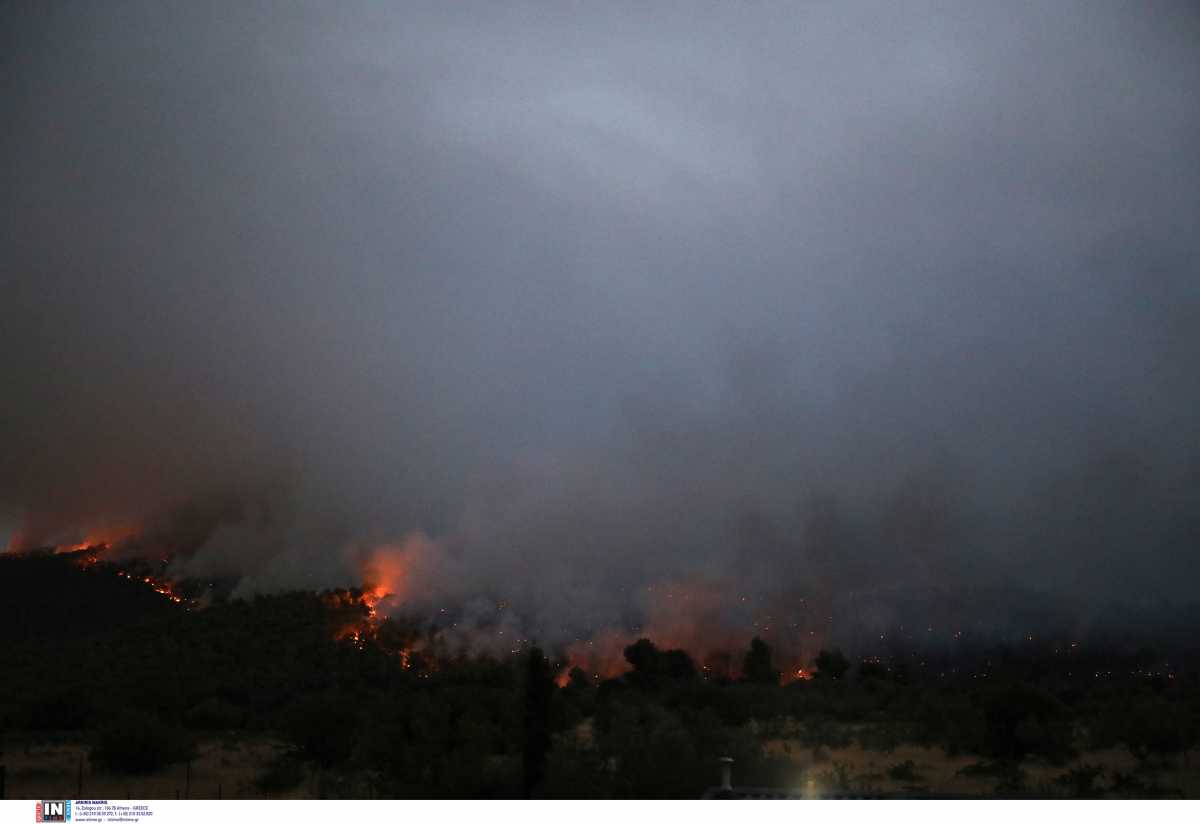 Ομολόγησε ο 14χρονος ότι ευθύνεται για τη φωτιά στο Θεολόγο και άλλες 8 πυρκαγιές