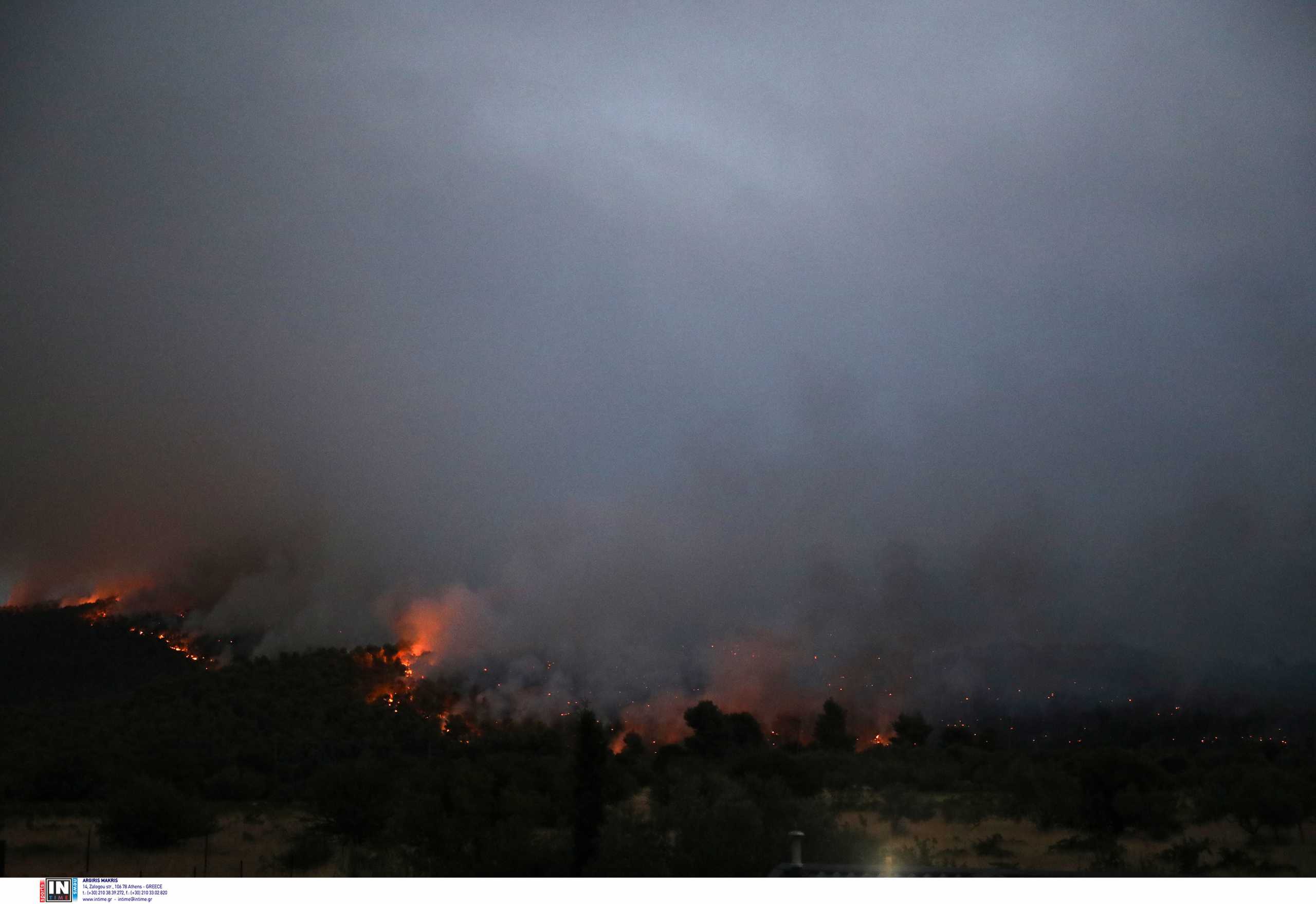 Ομολόγησε ο 14χρονος ότι ευθύνεται για τη φωτιά στο Θεολόγο και άλλες 8 πυρκαγιές