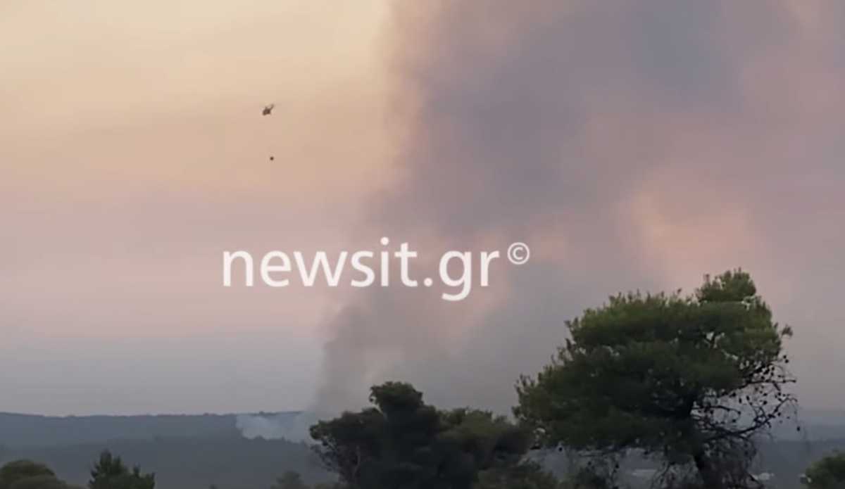 Φωτιά στην Βαρυμπόμπη: Τιτάνια μάχη με τις φλόγες, ανυπολόγιστη η καταστροφή – Καμένα σπίτια, περιουσίες και ζώα